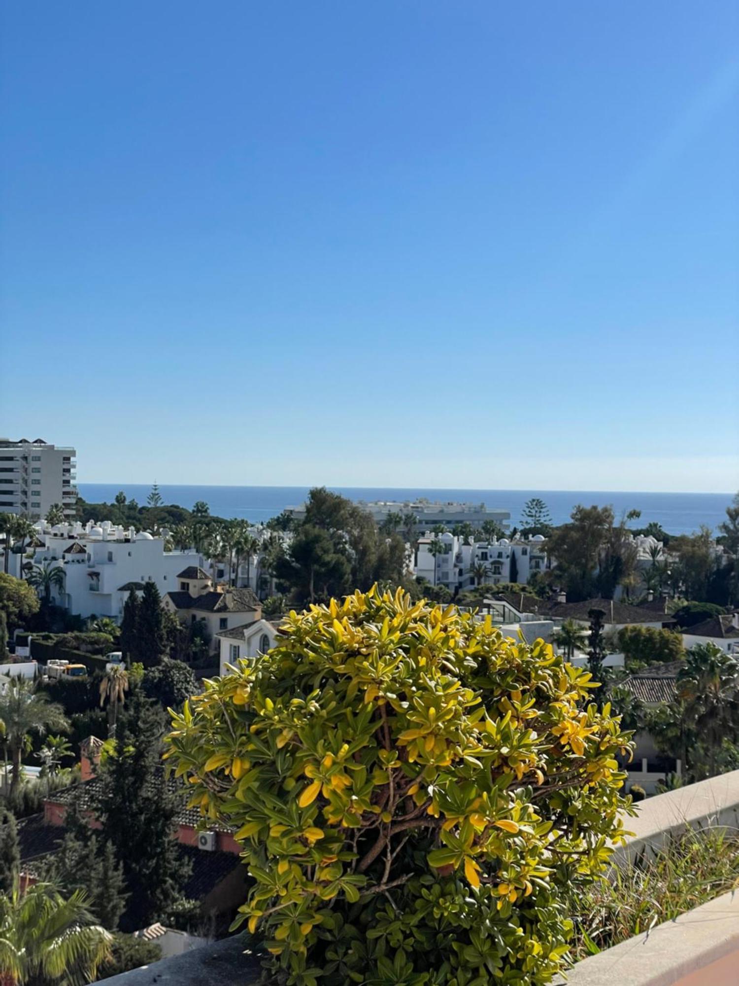 Guadalpin Penthouse